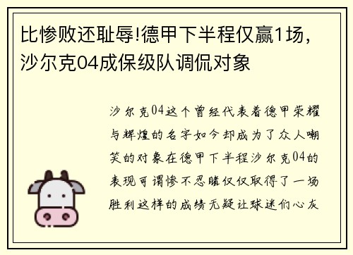 比惨败还耻辱!德甲下半程仅赢1场，沙尔克04成保级队调侃对象